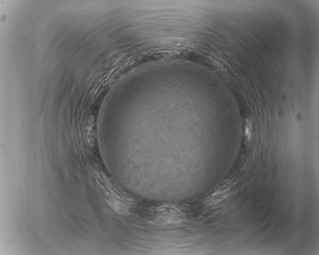 X0000058820867200509301152