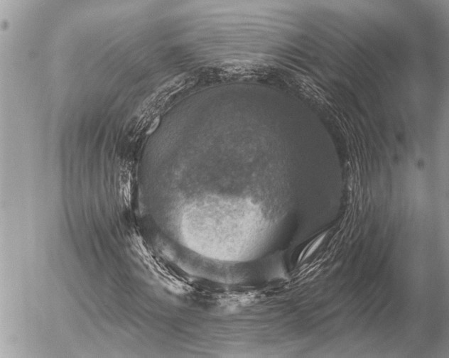 X0000058820868200509301152