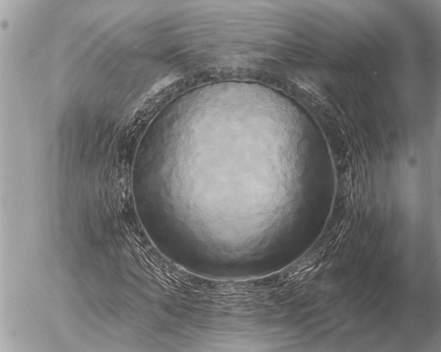 X0000058820870200509301152