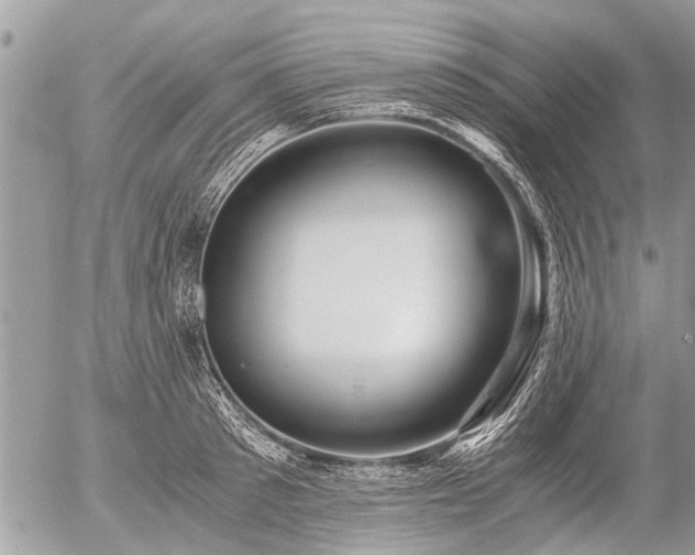 X0000058820897200509301151