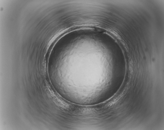 X0000058820933200509301151