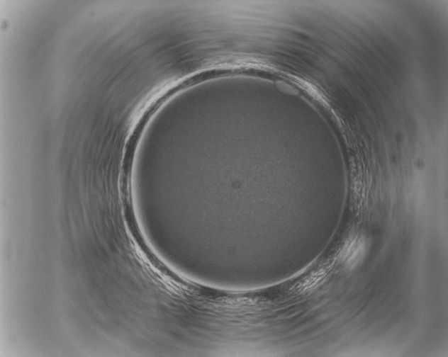 X0000058820943200509301151