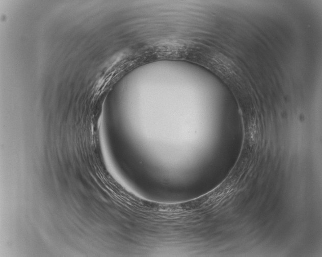 X0000058820964200509301150