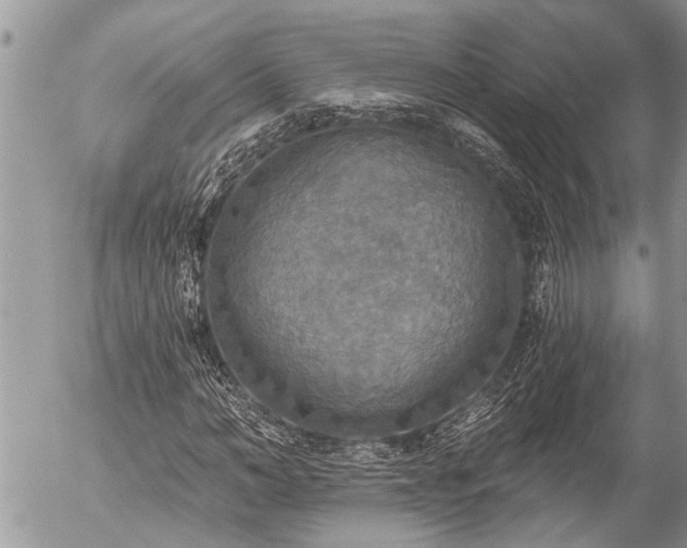 X0000058820966200509301150