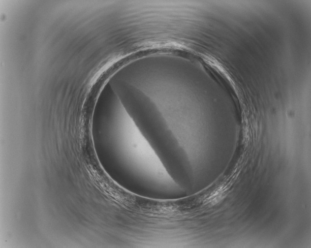 X0000058820975200509301150