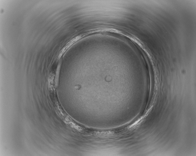 X0000058821001200509301149