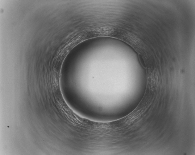X0000058821058200509301148