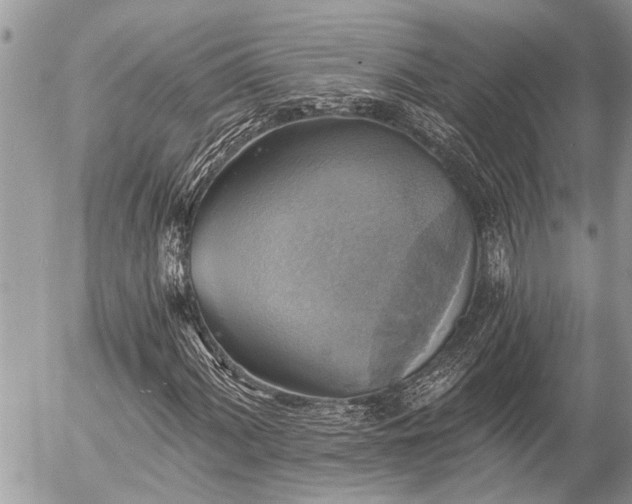 X0000058821060200509301148