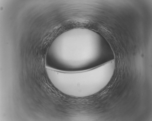 X0000058821061200509301148