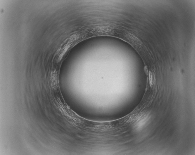 X0000058821107200509301147