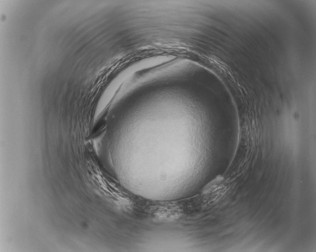 X0000058821110200509301147