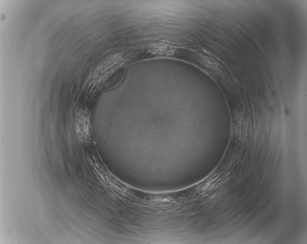 X0000058821154200509301147