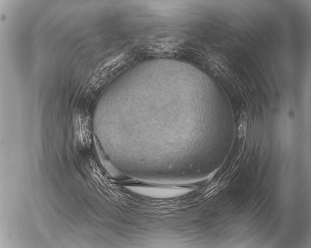 X0000058821156200509301147