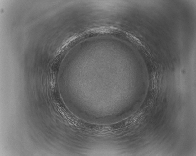 X0000058821158200509301147