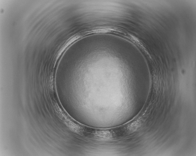 X0000058821186200509301146