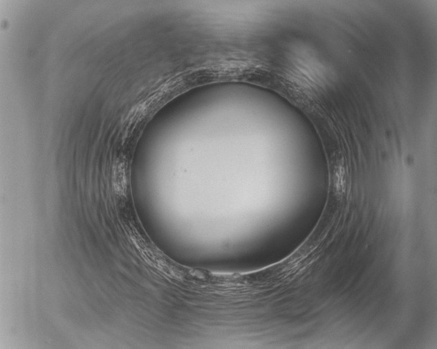 X0000058821204200509301145