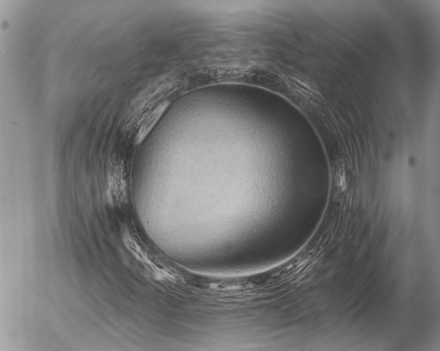 X0000058821252200509301145