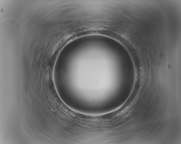 X0000058821257200509301145