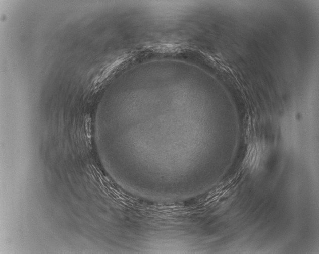 X0000058821301200509301144