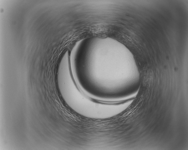 X0000058821345200509301144