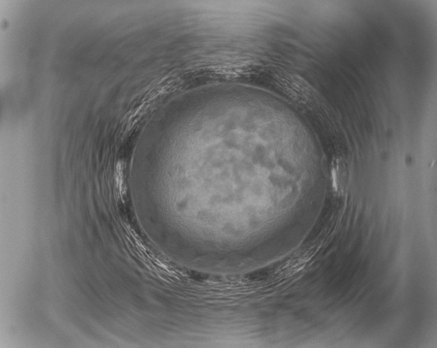 X0000058821347200509301144