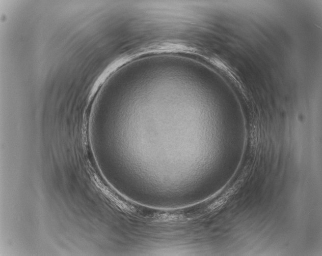 X0000058821374200509301143