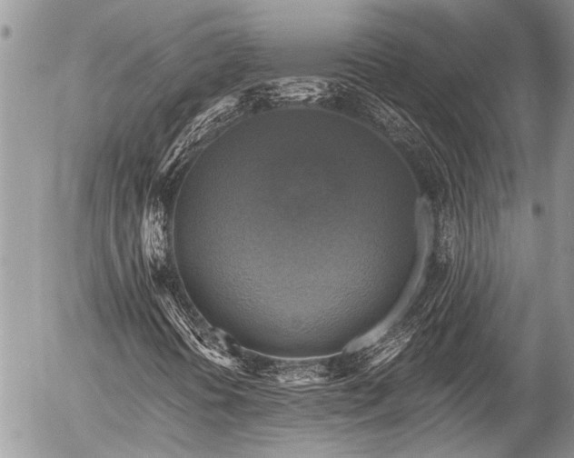 X0000058821394200509301142