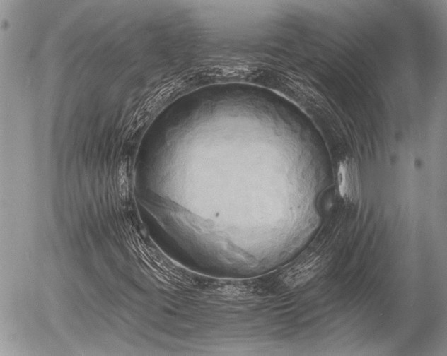 X0000058821395200509301142