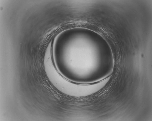 X0000058821398200509301142
