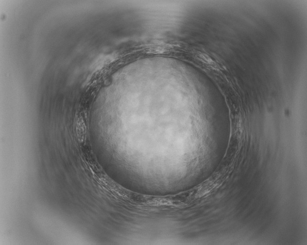 X0000058821446200509301142