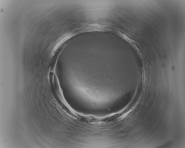 X0000058821453200509301142