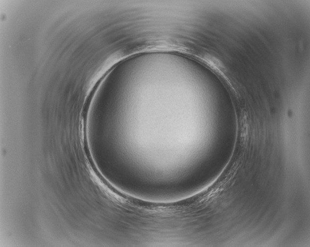 X0000058821476200509301141