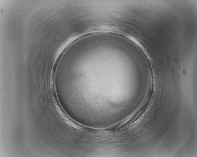 X0000058821477200509301141