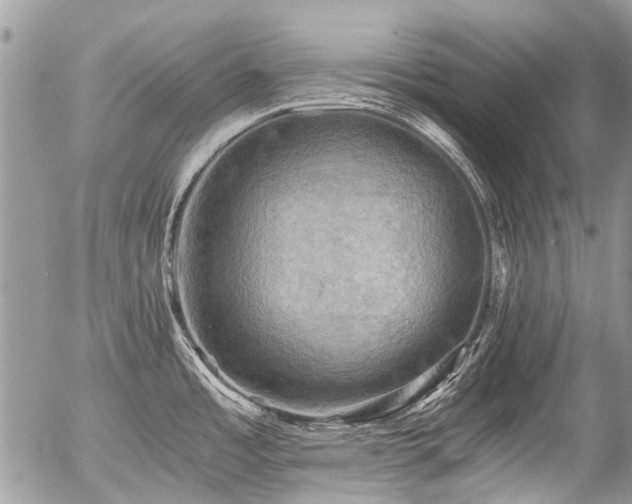 X0000058821485200509301141