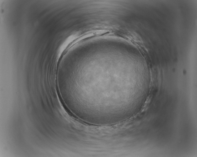 X0000058820003200510031333