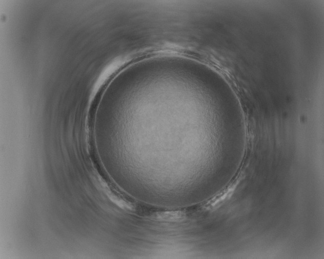 X0000058820102200510031331