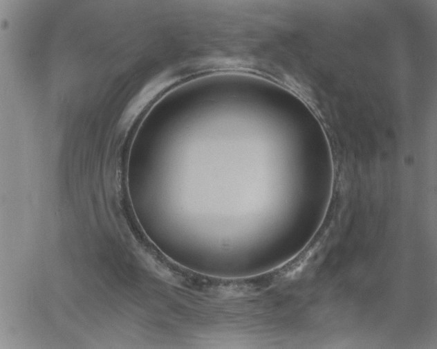X0000058820103200510031331