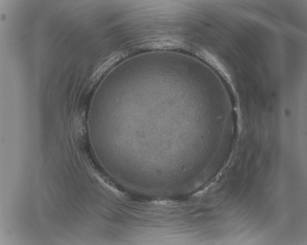 X0000058820105200510031331