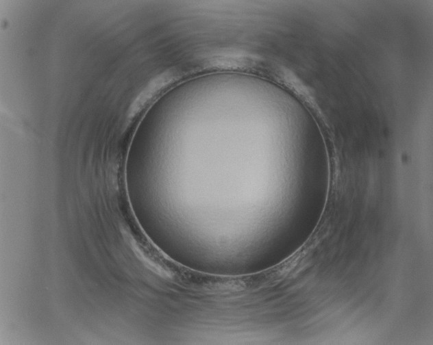 X0000058820106200510031331