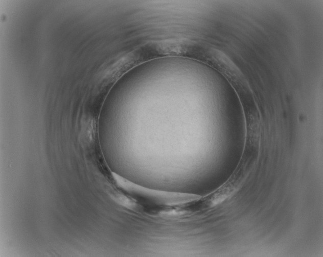 X0000058820125200510031331