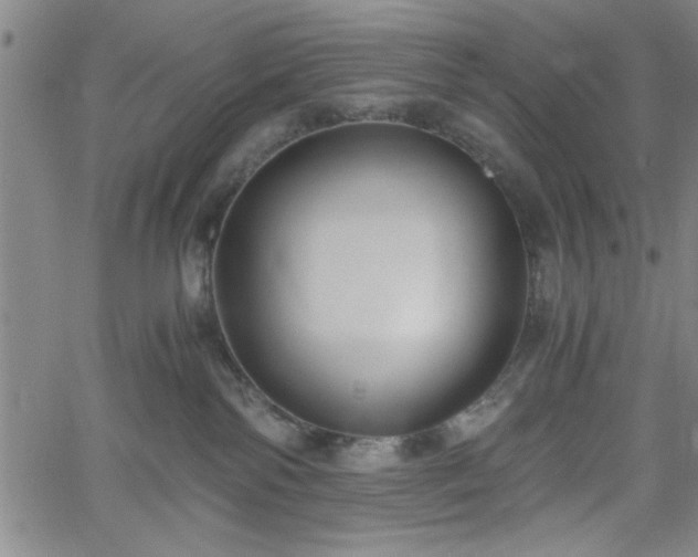 X0000058820138200510031330