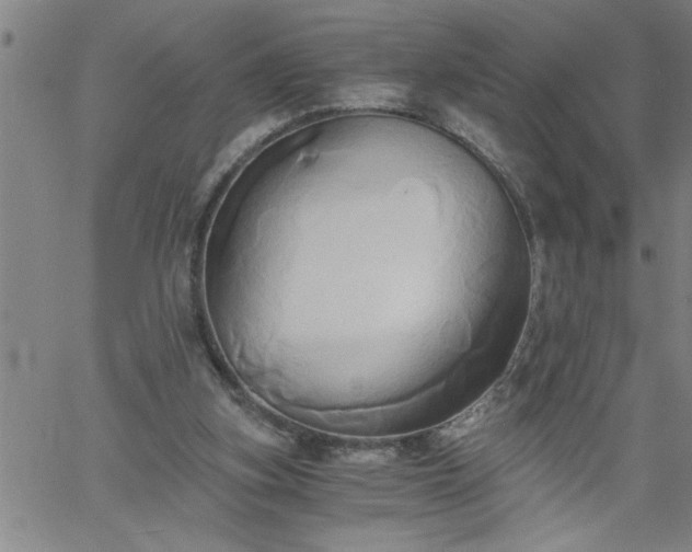 X0000058820155200510031330