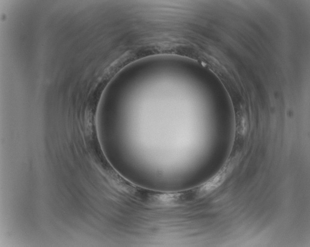 X0000058820184200510031330
