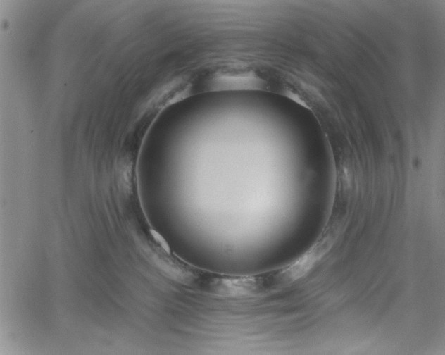 X0000058820188200510031330