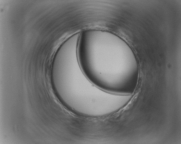 X0000058820193200510031329