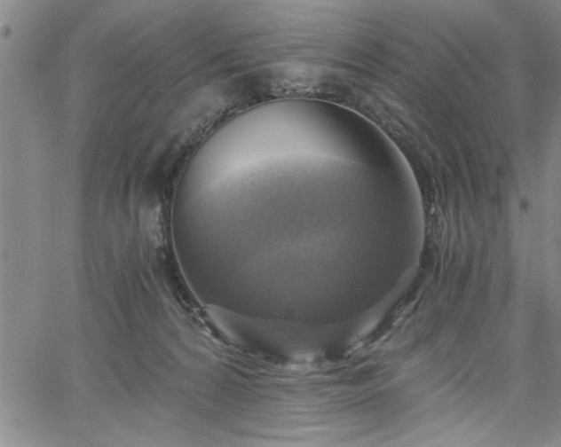 X0000058820224200510031329
