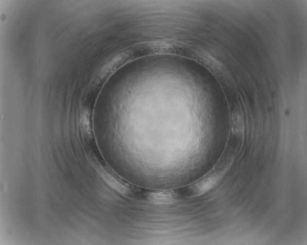 X0000058820238200510031329