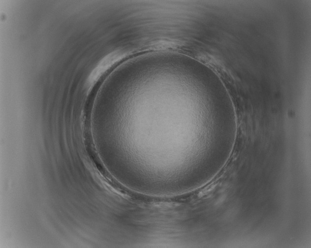 X0000058820242200510031328