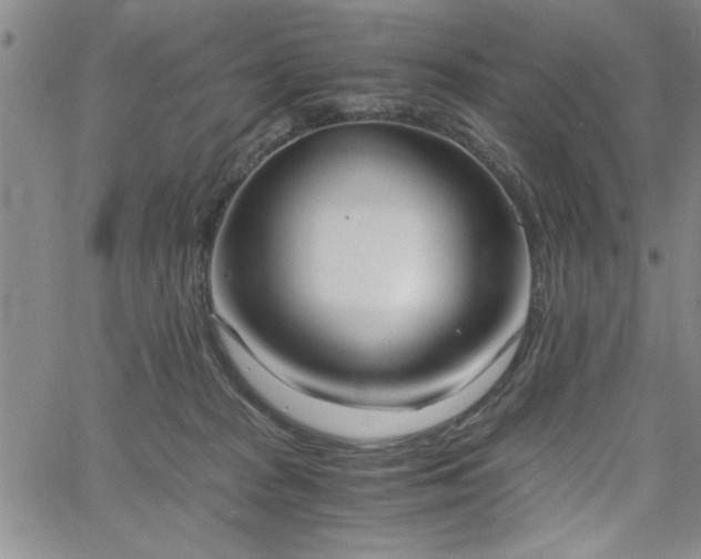 X0000058820277200510031328