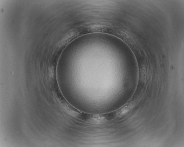 X0000058820278200510031329